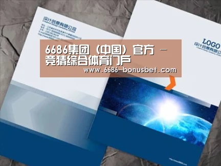 项目名称十