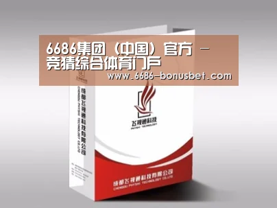 项目名称十三