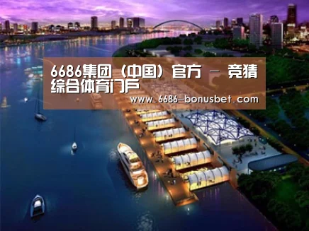 案例展示八