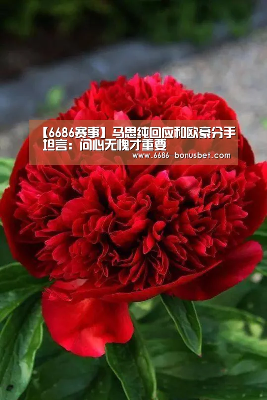 6686棋牌